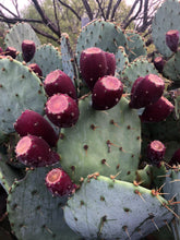 Load image into Gallery viewer, Prickly Pear Jelly (8oz Jar)