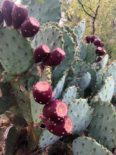Load image into Gallery viewer, Prickly Pear Pancake/Waffle Syrup (8 oz jar)