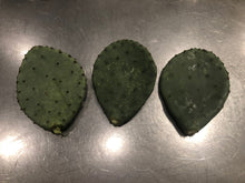 Load image into Gallery viewer, 3 Wild Texas Prickly Pear Cactus Pads (Nopales)